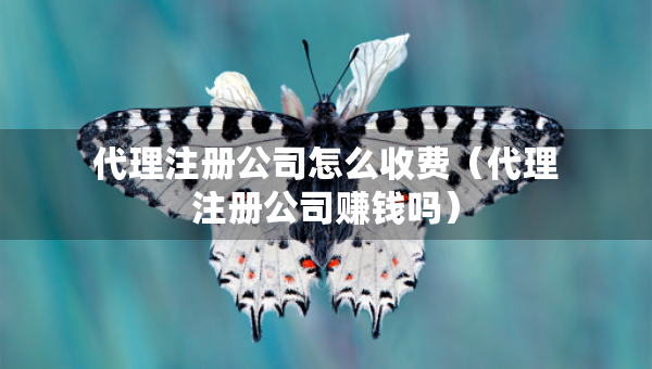 代理注册公司怎么收费（代理注册公司赚钱吗）