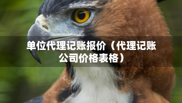 单位代理记账报价（代理记账公司价格表格）