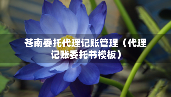 苍南委托代理记账管理（代理记账委托书模板）