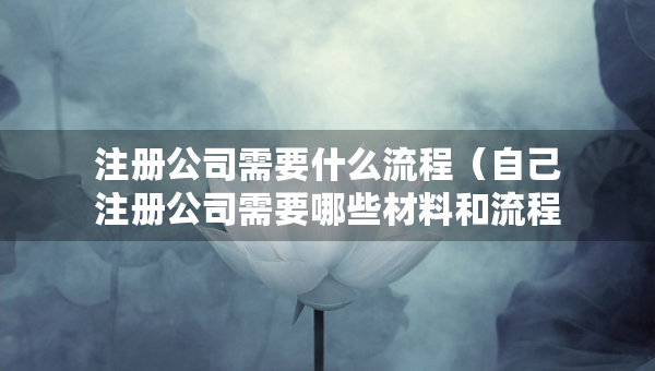 注册公司需要什么流程（自己注册公司需要哪些材料和流程）
