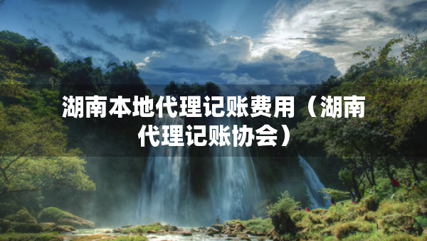 湖南本地代理记账费用（湖南代理记账协会）