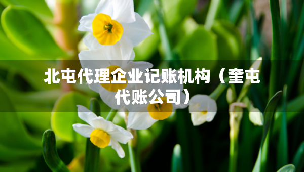 北屯代理企业记账机构（奎屯代账公司）