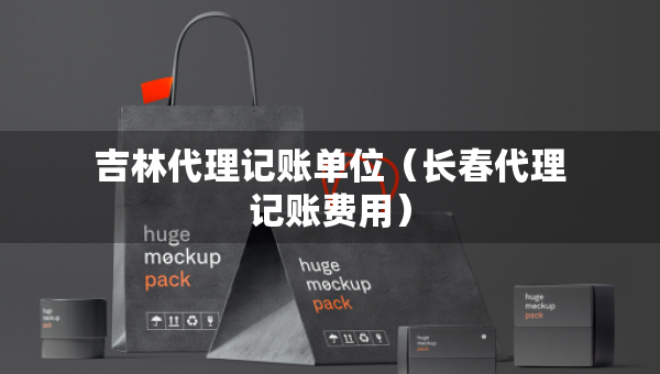 吉林代理记账单位（长春代理记账费用）