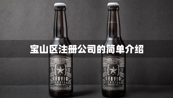 宝山区注册公司的简单介绍