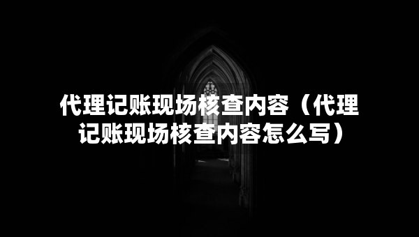 代理记账现场核查内容（代理记账现场核查内容怎么写）
