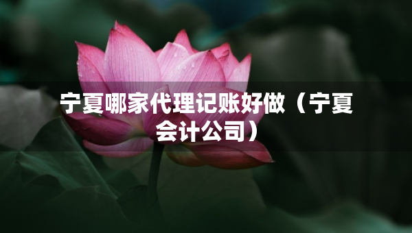 宁夏哪家代理记账好做（宁夏会计公司）