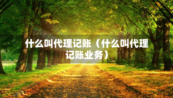什么叫代理记账（什么叫代理记账业务）