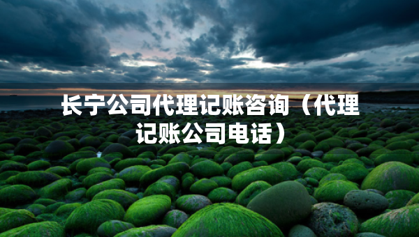 长宁公司代理记账咨询（代理记账公司电话）