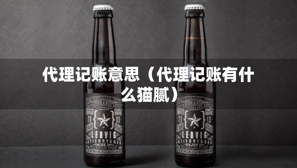 代理记账意思（代理记账有什么猫腻）