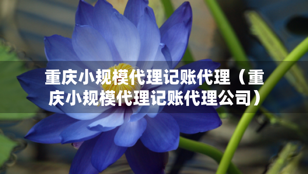重庆小规模代理记账代理（重庆小规模代理记账代理公司）