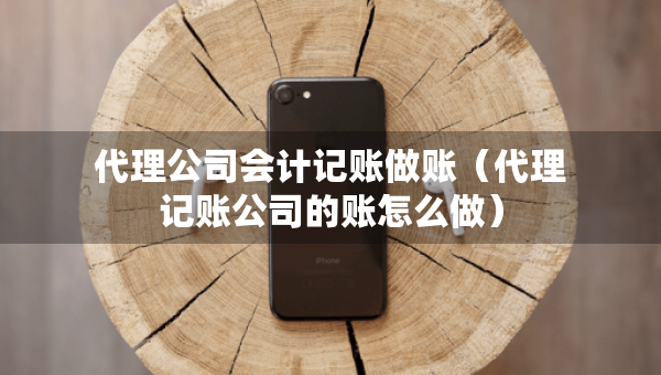 代理公司会计记账做账（代理记账公司的账怎么做）