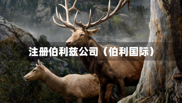 注册伯利兹公司（伯利国际）