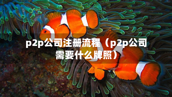 p2p公司注册流程（p2p公司需要什么牌照）