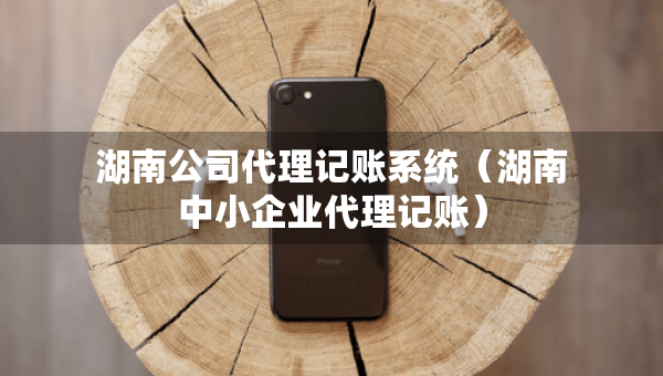 湖南公司代理记账系统（湖南中小企业代理记账）