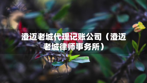 澄迈老城代理记账公司（澄迈老城律师事务所）