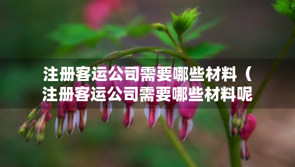 注册客运公司需要哪些材料（注册客运公司需要哪些材料呢）