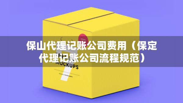 保山代理记账公司费用（保定代理记账公司流程规范）