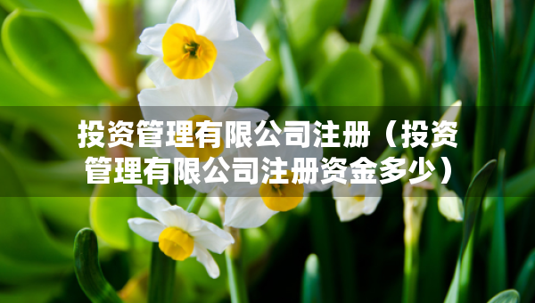 投资管理有限公司注册（投资管理有限公司注册资金多少）