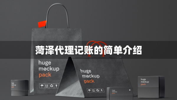 菏泽代理记账的简单介绍