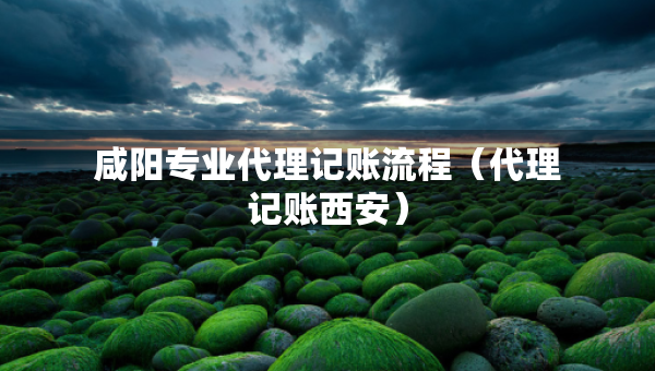 咸阳专业代理记账流程（代理记账西安）