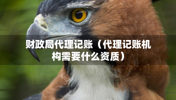 财政局代理记账（代理记账机构需要什么资质）