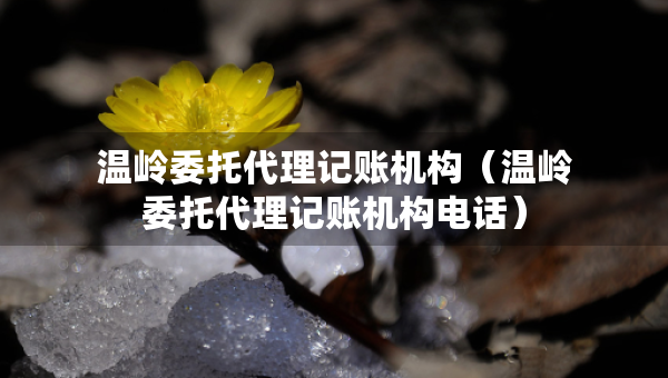 温岭委托代理记账机构（温岭委托代理记账机构电话）