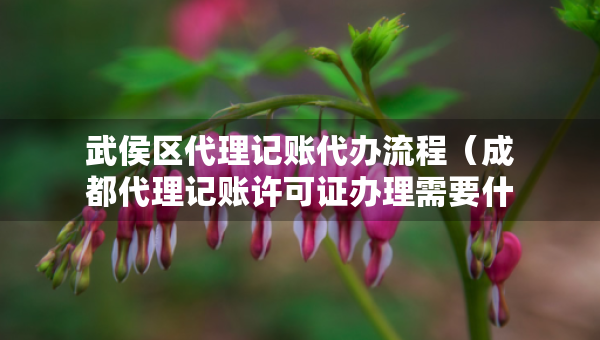 武侯区代理记账代办流程（成都代理记账许可证办理需要什么条件）