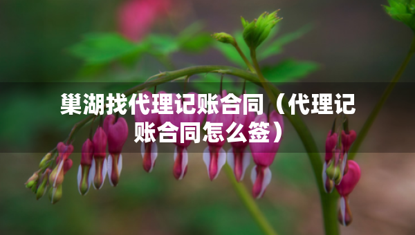 巢湖找代理记账合同（代理记账合同怎么签）
