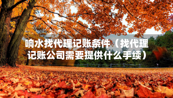 响水找代理记账条件（找代理记账公司需要提供什么手续）