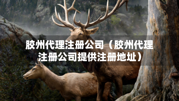 胶州代理注册公司（胶州代理注册公司提供注册地址）
