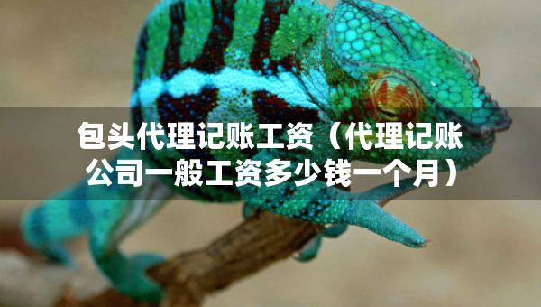 包头代理记账工资（代理记账公司一般工资多少钱一个月）