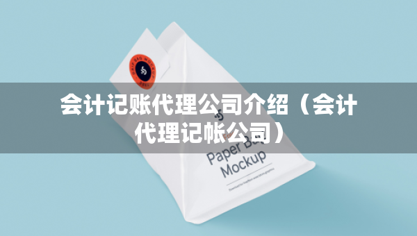 会计记账代理公司介绍（会计代理记帐公司）