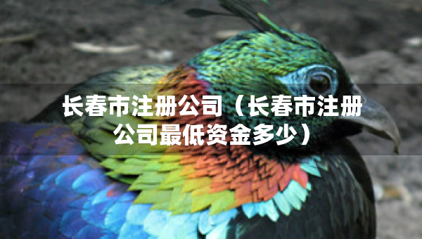 长春市注册公司（长春市注册公司最低资金多少）