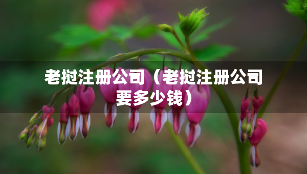 老挝注册公司（老挝注册公司要多少钱）