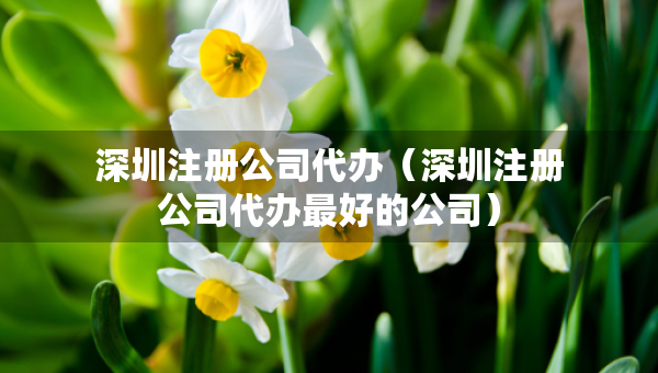 深圳注册公司代办（深圳注册公司代办最好的公司）