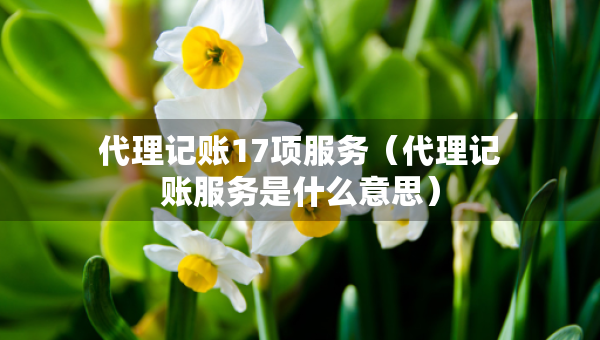 代理记账17项服务（代理记账服务是什么意思）