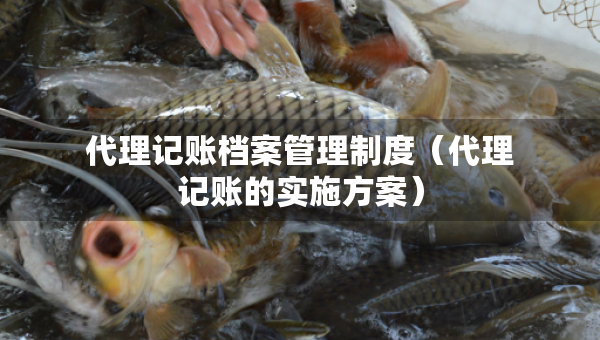 代理记账档案管理制度（代理记账的实施方案）