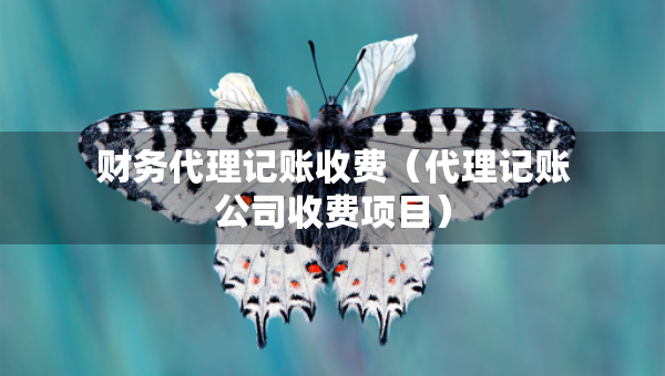 财务代理记账收费（代理记账公司收费项目）