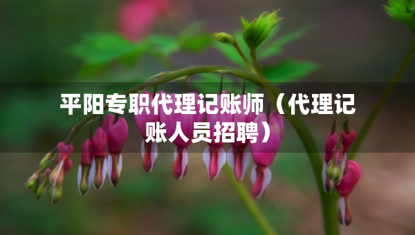 平阳专职代理记账师（代理记账人员招聘）