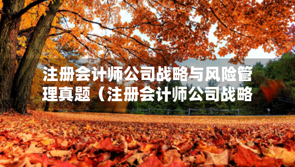 注册会计师公司战略与风险管理真题（注册会计师公司战略与风险管理真题解析）