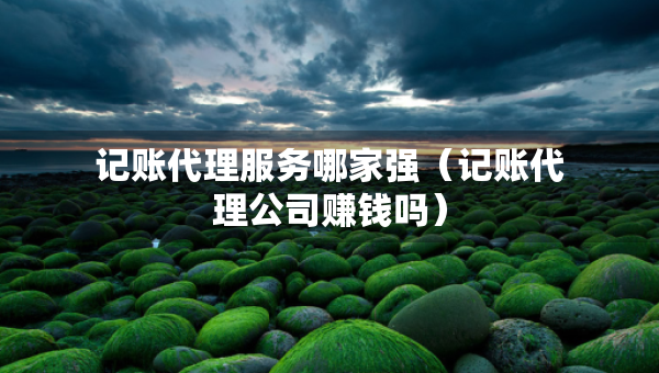 记账代理服务哪家强（记账代理公司赚钱吗）