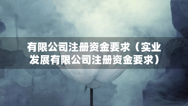 有限公司注册资金要求（实业发展有限公司注册资金要求）