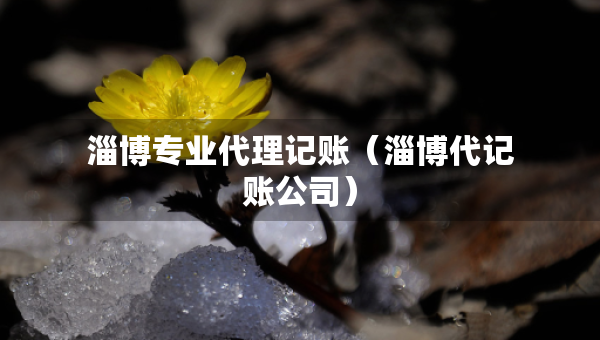 淄博专业代理记账（淄博代记账公司）