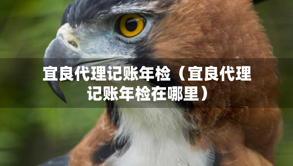 宜良代理记账年检（宜良代理记账年检在哪里）