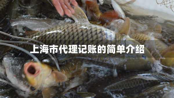 上海市代理记账的简单介绍