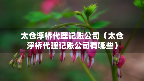 太仓浮桥代理记账公司（太仓浮桥代理记账公司有哪些）