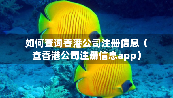 如何查询香港公司注册信息（查香港公司注册信息app）