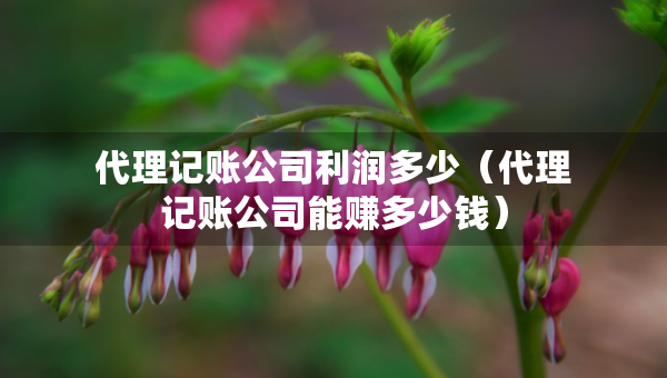 代理记账公司利润多少（代理记账公司能赚多少钱）