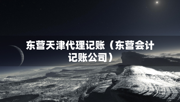 东营天津代理记账（东营会计记账公司）