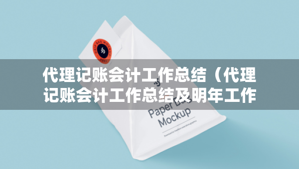 代理记账会计工作总结（代理记账会计工作总结及明年工作计划）